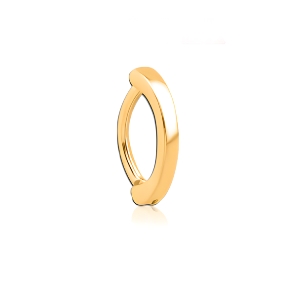  Chirurgenstahl 316L – Rook Segmentring Clicker mit PVD-Beschichtung 