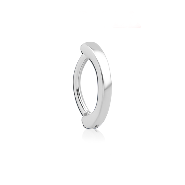 Chirurgenstahl 316L – Rook Segmentring Clicker 