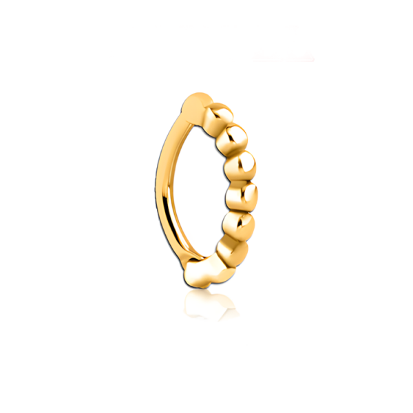  Chirurgenstahl 316L – Rook Segmentring Clicker mit PVD-Beschichtung 