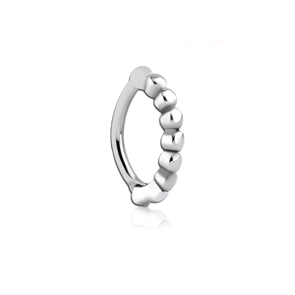 Chirurgenstahl 316L – Rook Segmentring Clicker 