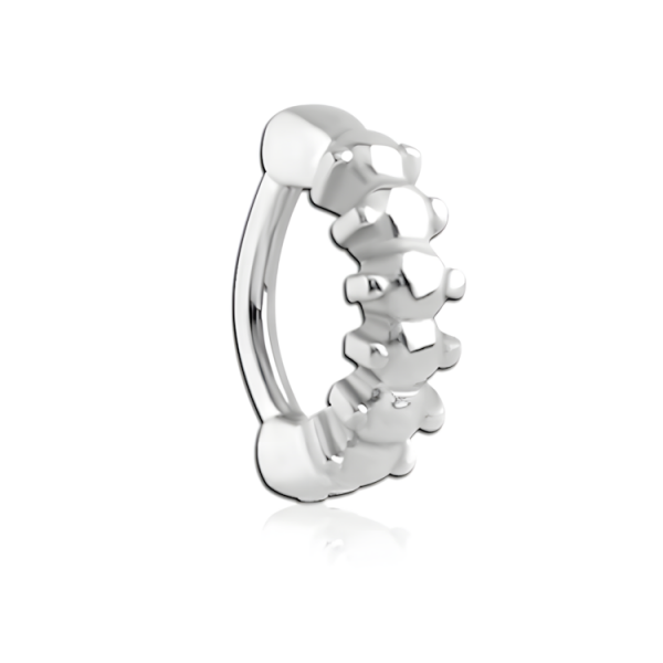 Chirurgenstahl 316L – Rook Segmentring Clicker 