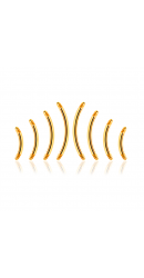 Titan G23 – Micro-Banane ohne Kugel mit PVD-Beschichtung 