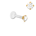 Bioplast - Micro Labret mit Plug-in-System & Chirurgenstahl -Aufsatz mit Zirkonia & PVD-Beschichtung 