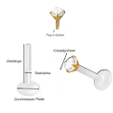 Bioplast - Micro Labret mit Plug-in-System & Chirurgenstahl -Aufsatz mit Zirkonia & PVD-Beschichtung 