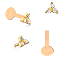 Bioplast - Micro Labret mit Plug-in-System & Chirurgenstahl -Aufsatz mit Zirkonia & PVD-Beschichtung 