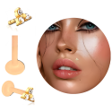 Bioplast - Micro Labret mit Plug-in-System & Chirurgenstahl -Aufsatz mit Zirkonia & PVD-Beschichtung 