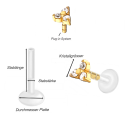Bioplast - Micro Labret mit Plug-in-System & Chirurgenstahl -Aufsatz mit Zirkonia & PVD-Beschichtung 