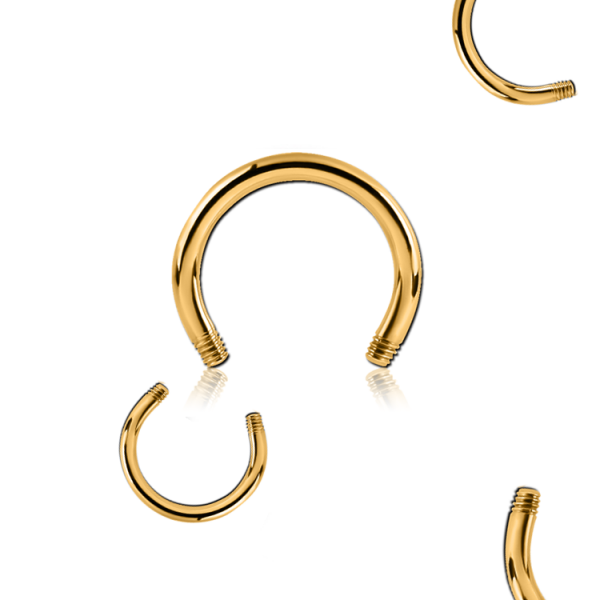 Chirurgenstahl 316L – Hufeisenringe ohne Schraubkugeln mit PVD-Beschichtung 