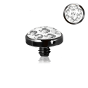Titan G23 - Schraubdisc mit Epoxy-Beschichtung & PVD-Beschichtung 