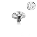 Titan G23 - Schraubdisc mit Aussengewinde & Epoxy-Beschichtung